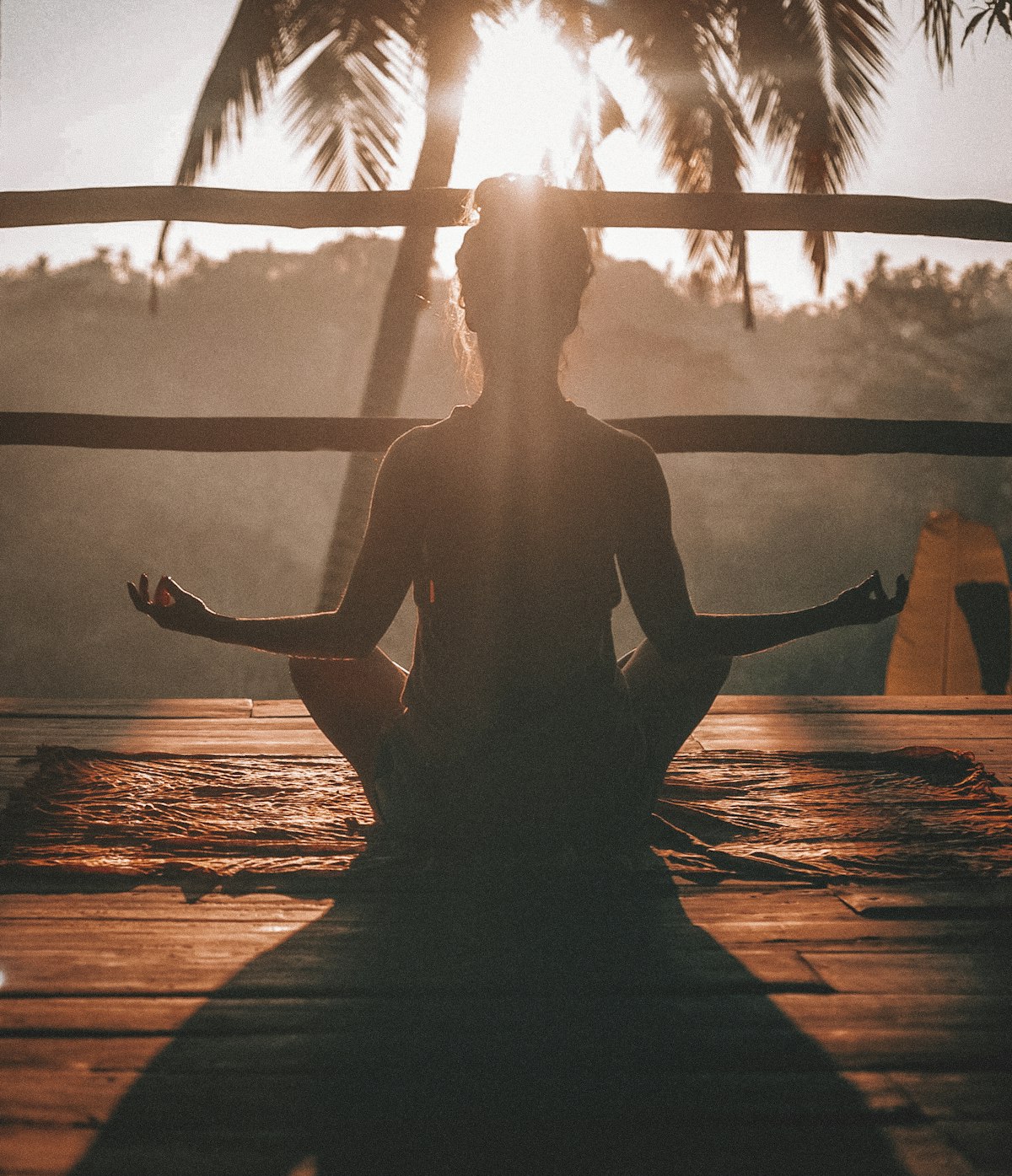 Wellness and meditation — kale nervous system health