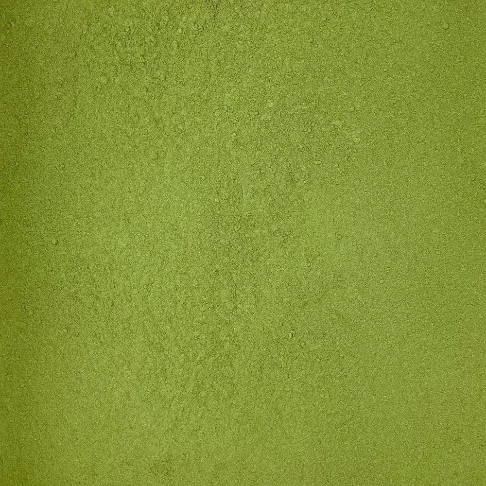 OnlyKale Instagram